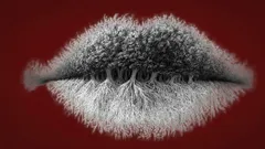 Co vidíte na obrázku jako první? Zjistěte, zda jste introvert, extrovert nebo ambivert.